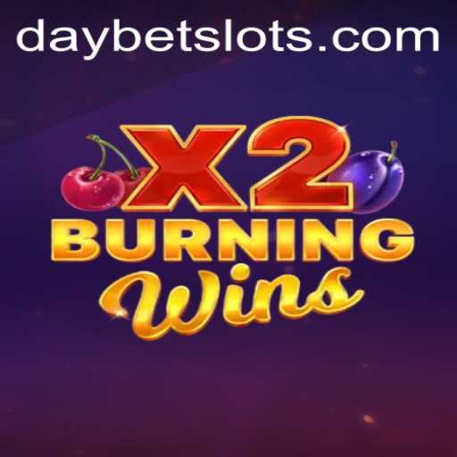 Mastering the Art of BurningWinsX2